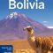 Salar De Uyuni Bolivia Travel