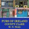 Clare Ireland Travel
