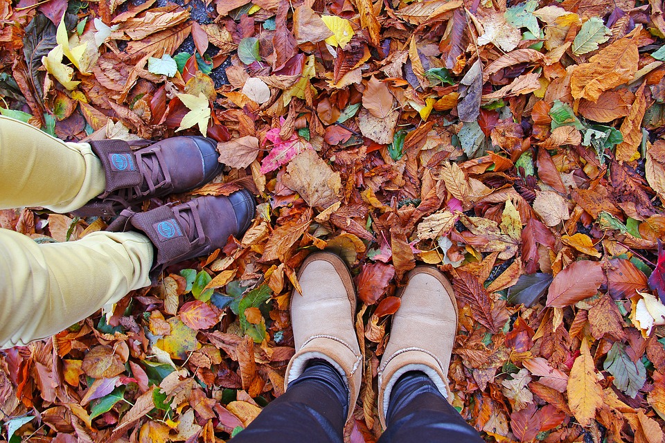 shoe, enjoy, fall