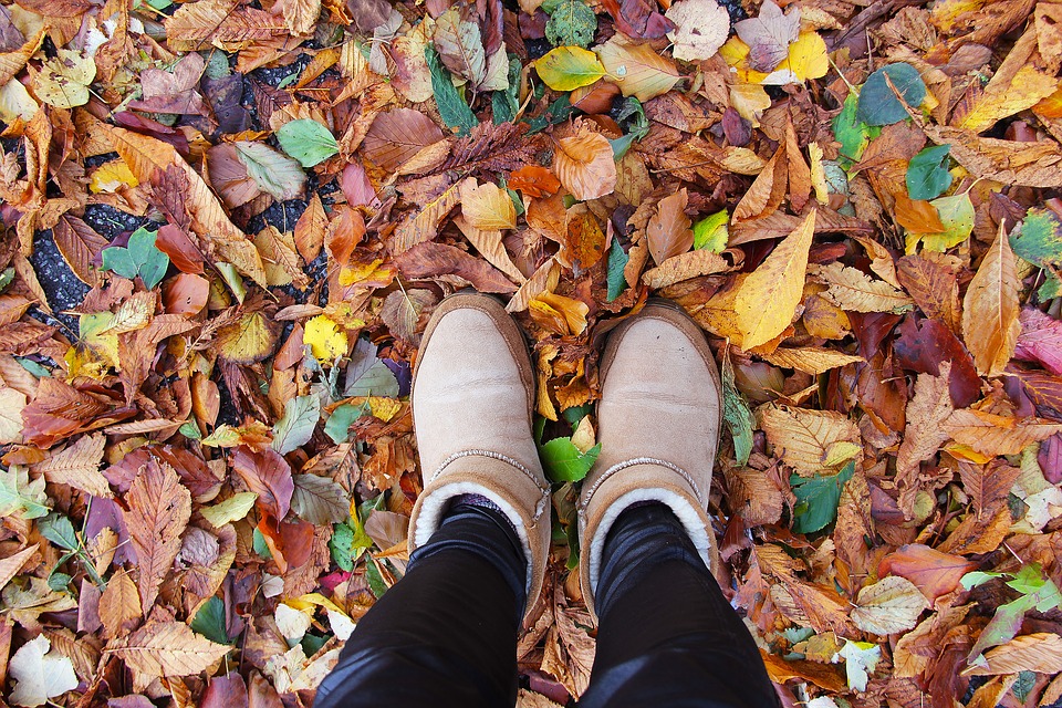 shoe, enjoy, fall