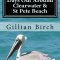 St Pete Beach Florida Travel