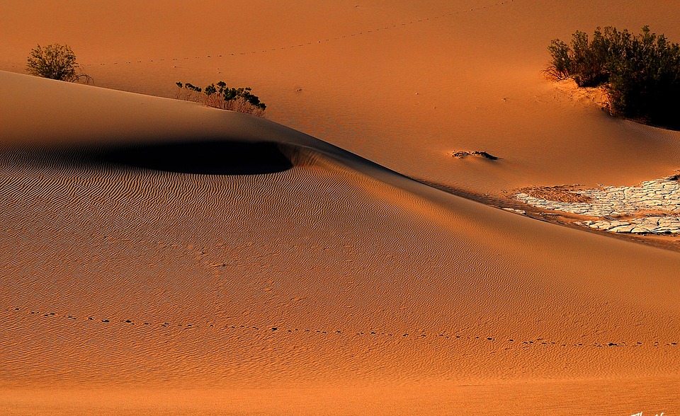 death valley, sand, nature