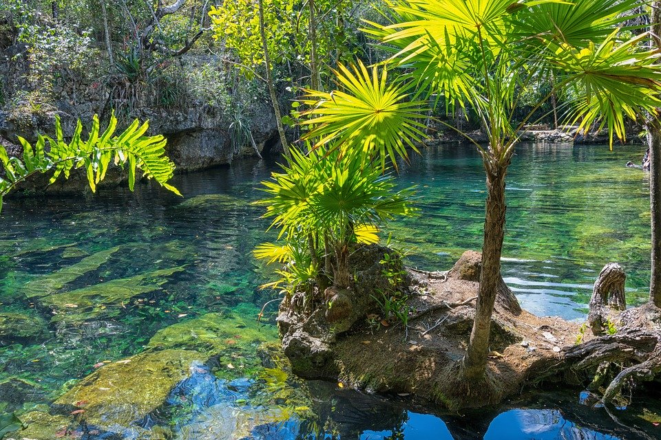 mexico, yucatan, cenote