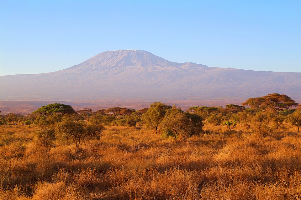 africa, kilimanjaro, kenya