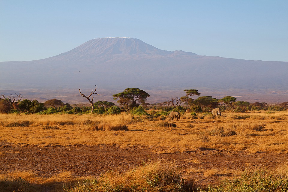 africa, kilimanjaro, kenya