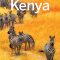 Aberdare National Park Kenya Travel